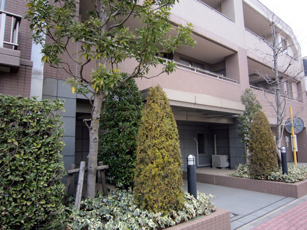 藤和シティホームズ武蔵小杉御殿町の外観