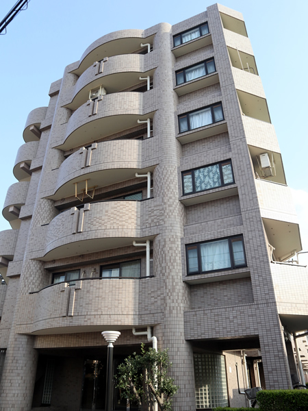 ナイスアーバン新川崎の外観