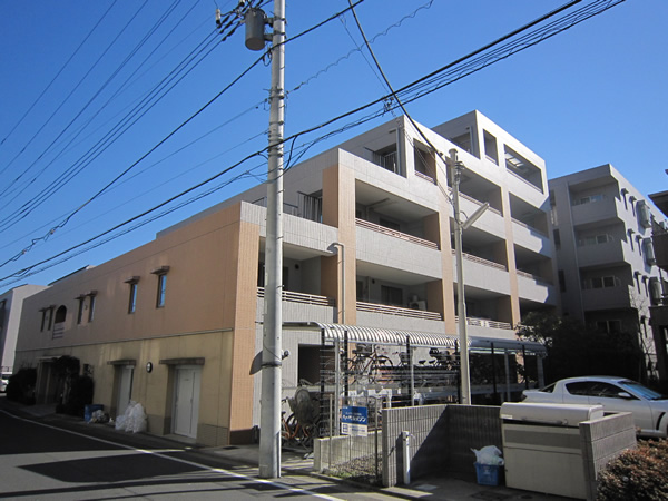 パークハウス武蔵新城ソレイユテラスの外観