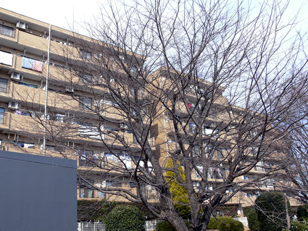 サンマンション青葉台ガーデンの外観