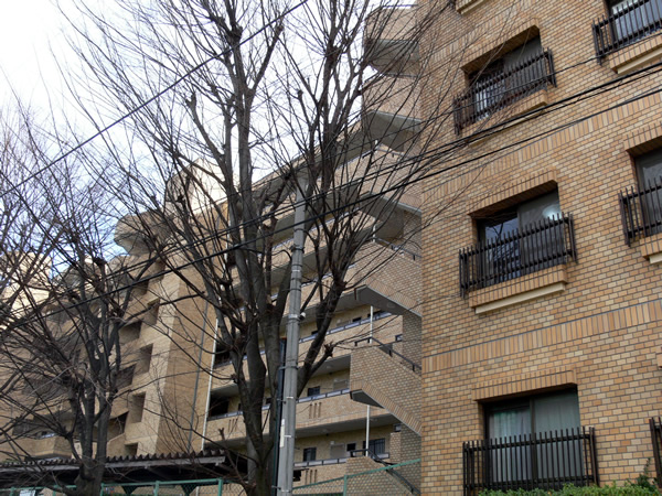 サンマンション青葉台ガーデンの外観