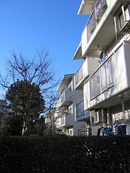 藤和ライブタウン相模原4号棟の外観