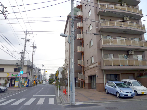 南林間一条ハイムの外観