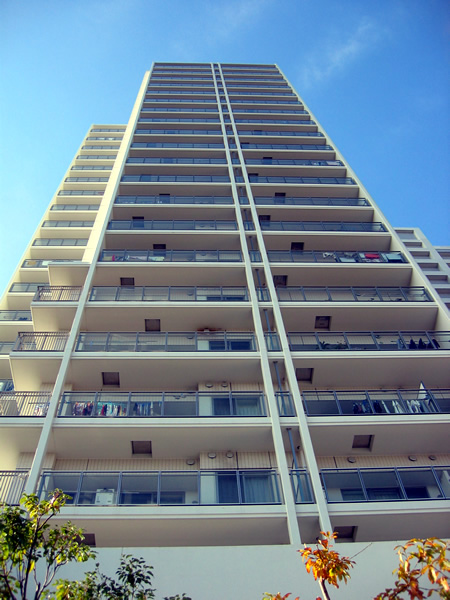 アトラスタワー向ヶ丘遊園の外観