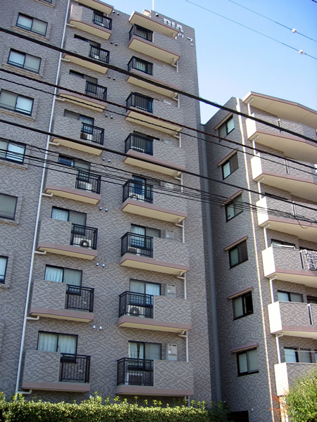 ダイアパレス東村山の外観