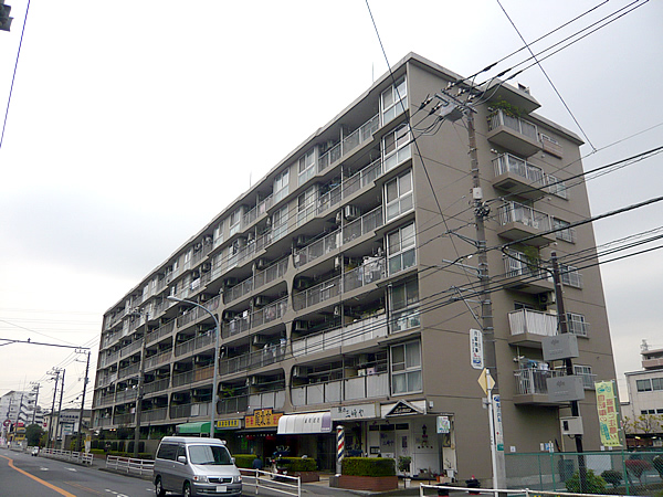 大和ハイデンスの外観