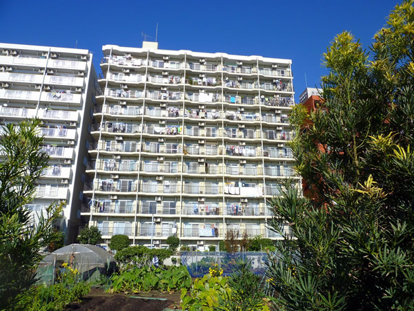 ルミネ大和の外観