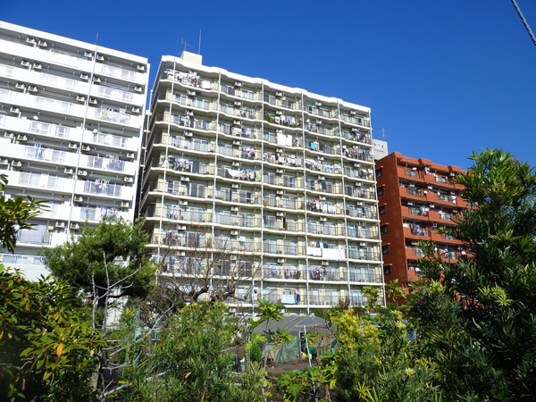 ルミネ大和の外観