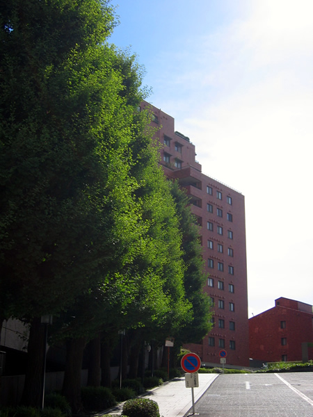 東高ペアシティルネッサンスの外観