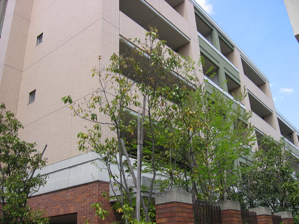 グランドメゾン藤が丘の外観