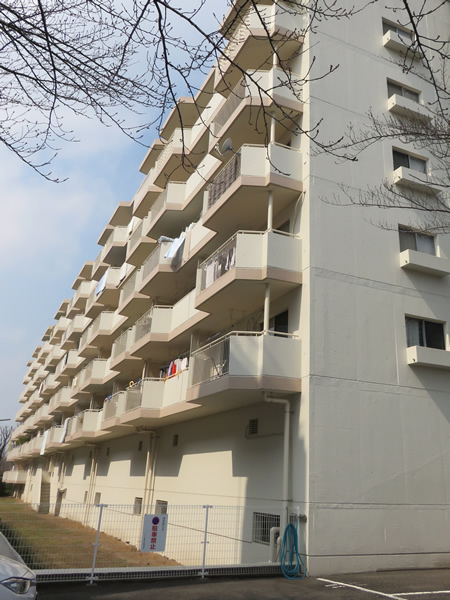 ドルフ青葉台３号棟の外観