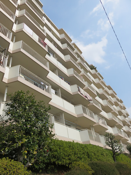 ドルフ青葉台1号棟の外観