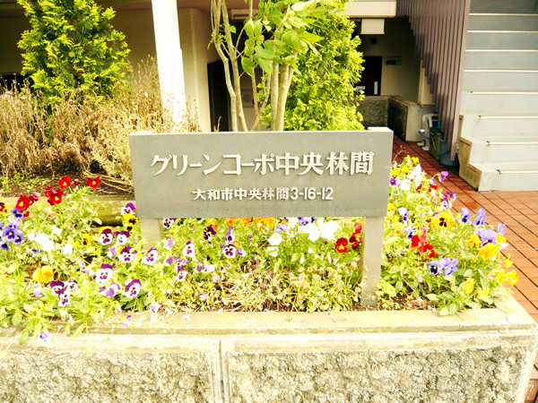 グリーンコーポ中央林間の外観