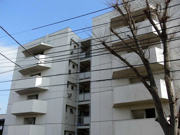 たなドエリングB棟の外観