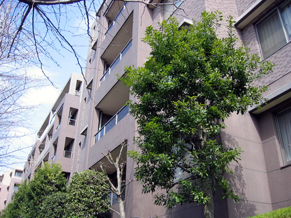 フォンテーヌブロー青葉台A棟の外観