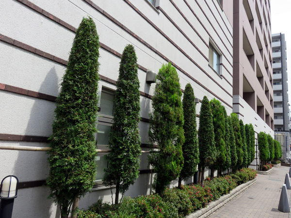 アデニウム新横浜の外観