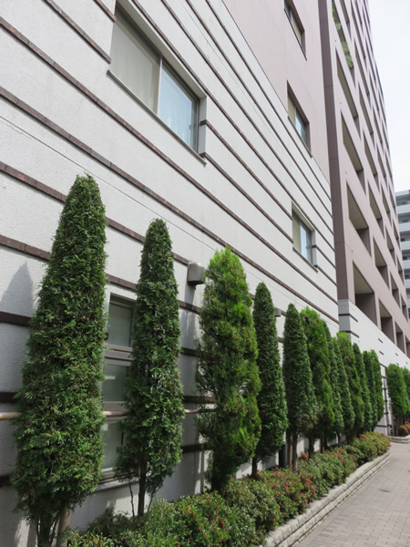 アデニウム新横浜の外観