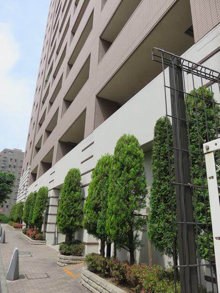 アデニウム新横浜の外観