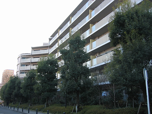 セパルレ中央林間７番館の外観