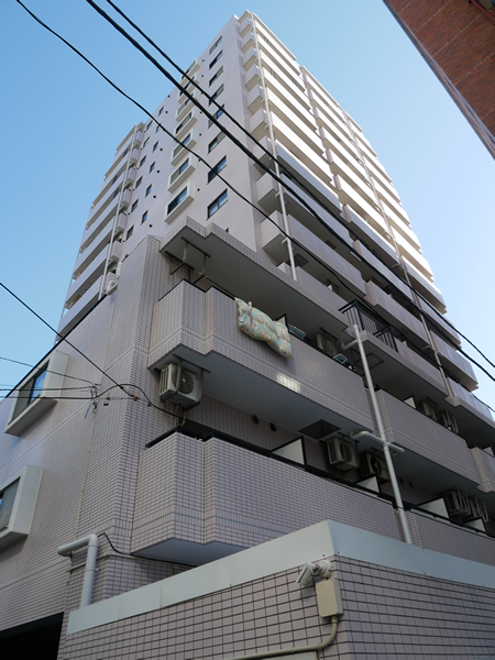 ライオンズプラザ平塚の外観