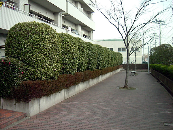 ローヤルシティ鴨居1番館の外観