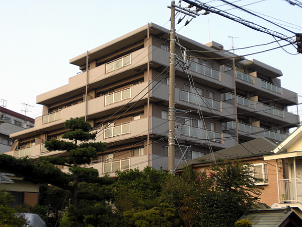 ミオカステーロ十日市場ステッサの外観