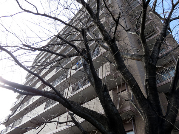 オーベルグランディオ相模が丘スカイウイングの外観