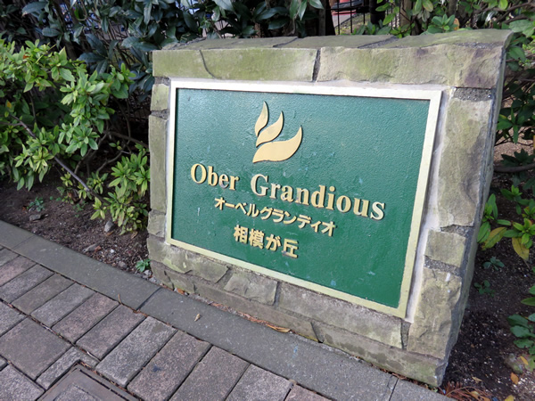 オーベルグランディオ相模が丘スカイウイングの外観