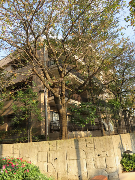 コスモ宮前平ヒルズの外観