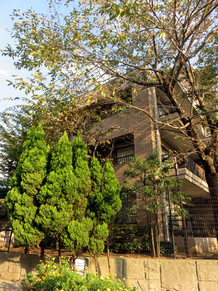 コスモ宮前平ヒルズの外観