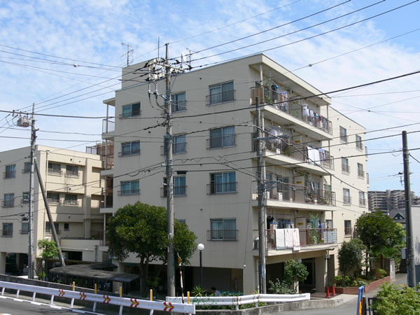 ダイアパレス登戸の外観