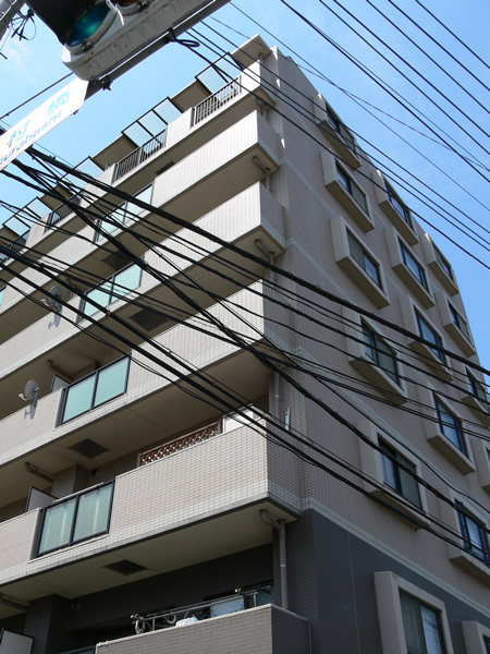 ダイアパレスプライベス向ヶ丘遊園の外観