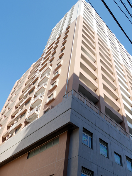 リーデンスタワー湘南平塚の外観