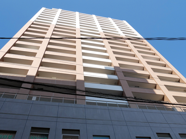 リーデンスタワー湘南平塚の外観