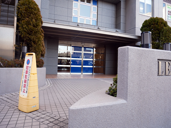 リーデンスタワー湘南平塚の外観