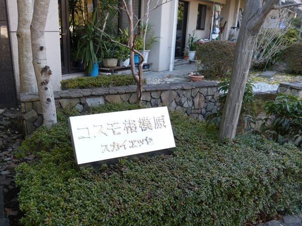 コスモ相模原スカイエッセの外観