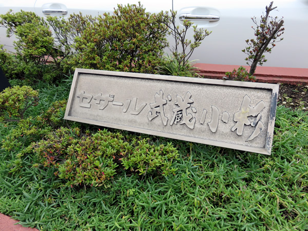 セザール武蔵小杉の外観