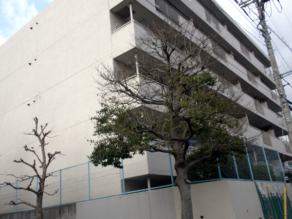 長津田パークハイツの外観