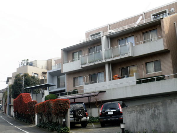 コスモ玉川学園の外観