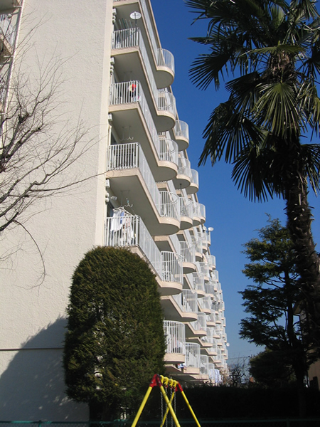 相模大野ハイツB棟の外観