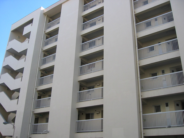 相模大野ハイツB棟の外観