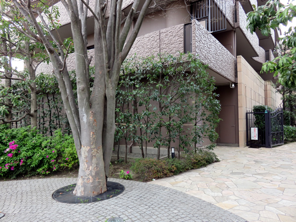 ザ・ウインベルグラン町田の外観