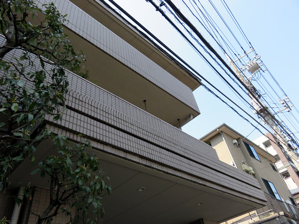 たまプラーザパークホームズの外観