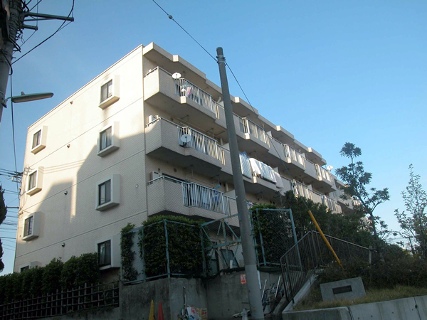 ルミネ藤が丘2の外観