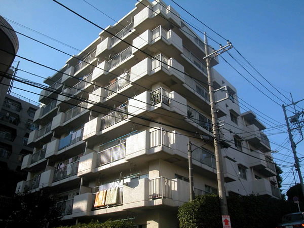 ニチメン藤が丘ハイツの外観