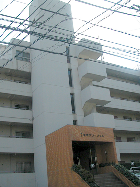 第2鷺沼グリーンヒルの外観