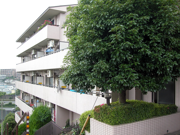 東建ニューハイツ鷺沼の外観