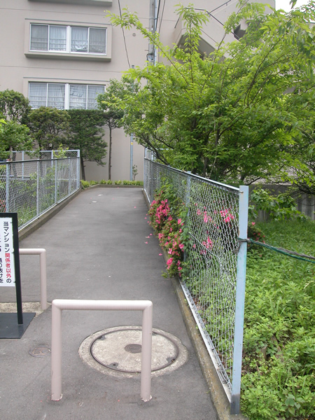 ウインザーハイム宮前平アーベインの外観