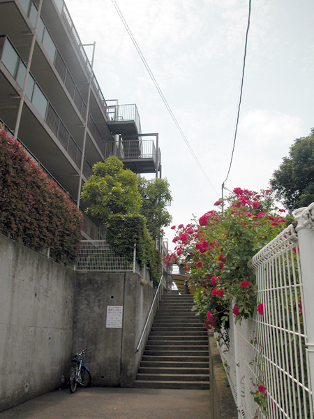 ルミネたまプラーザの外観