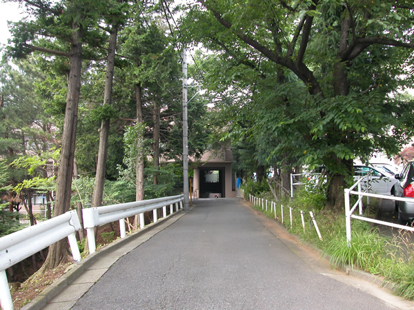 コスモけやき平の外観